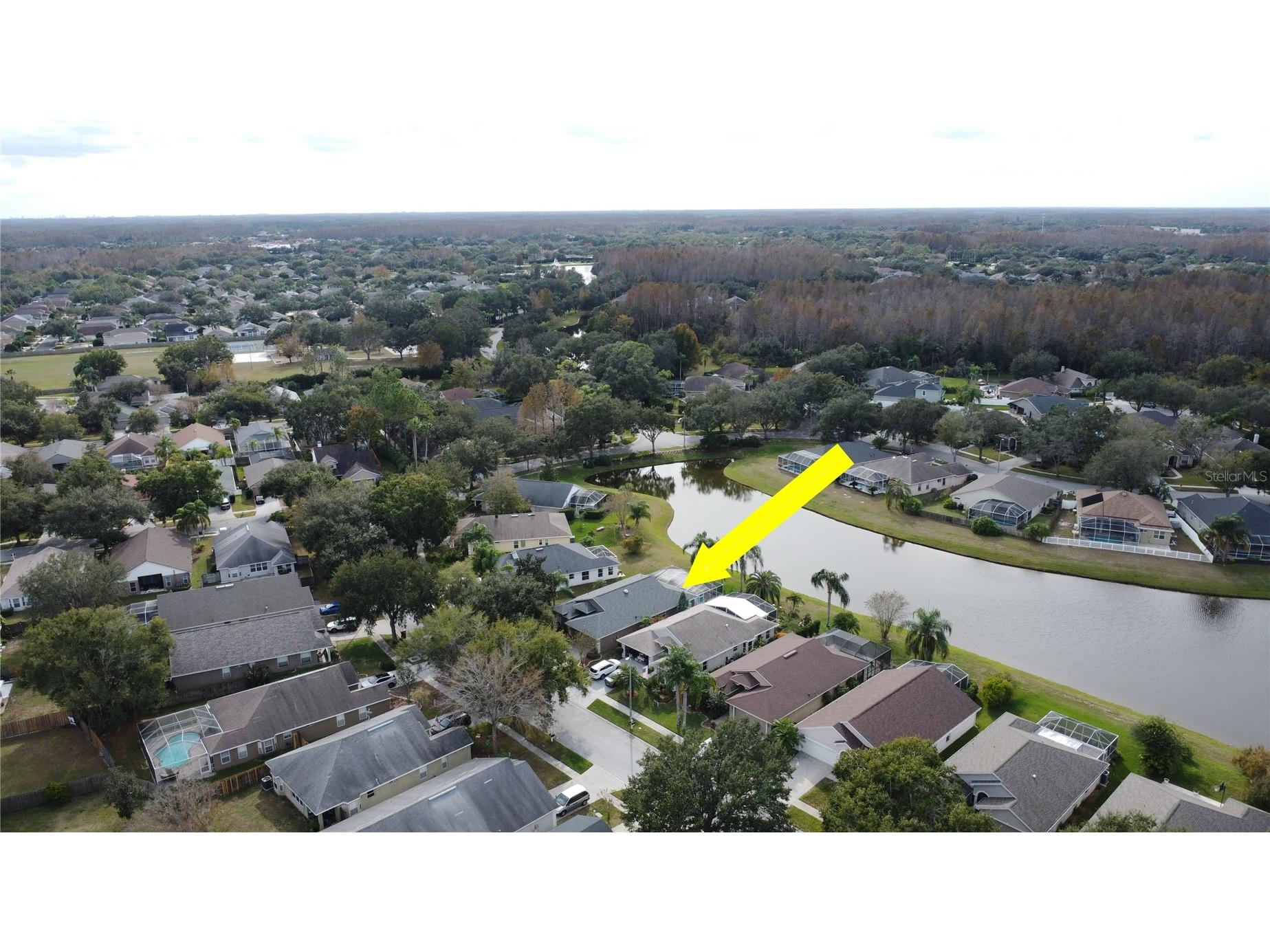 19519 Morden Blush Drive Lutz FL 33558 TB8453744 image61