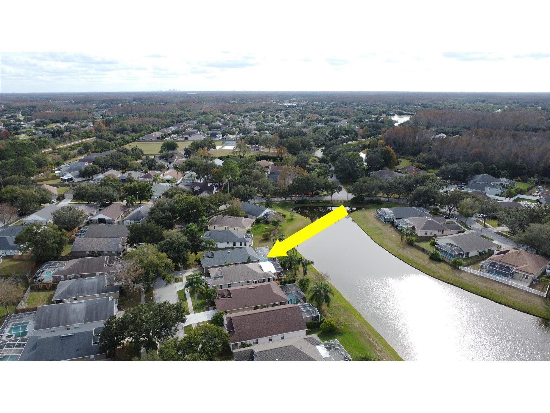 19519 Morden Blush Drive Lutz FL 33558 TB8453744 image62