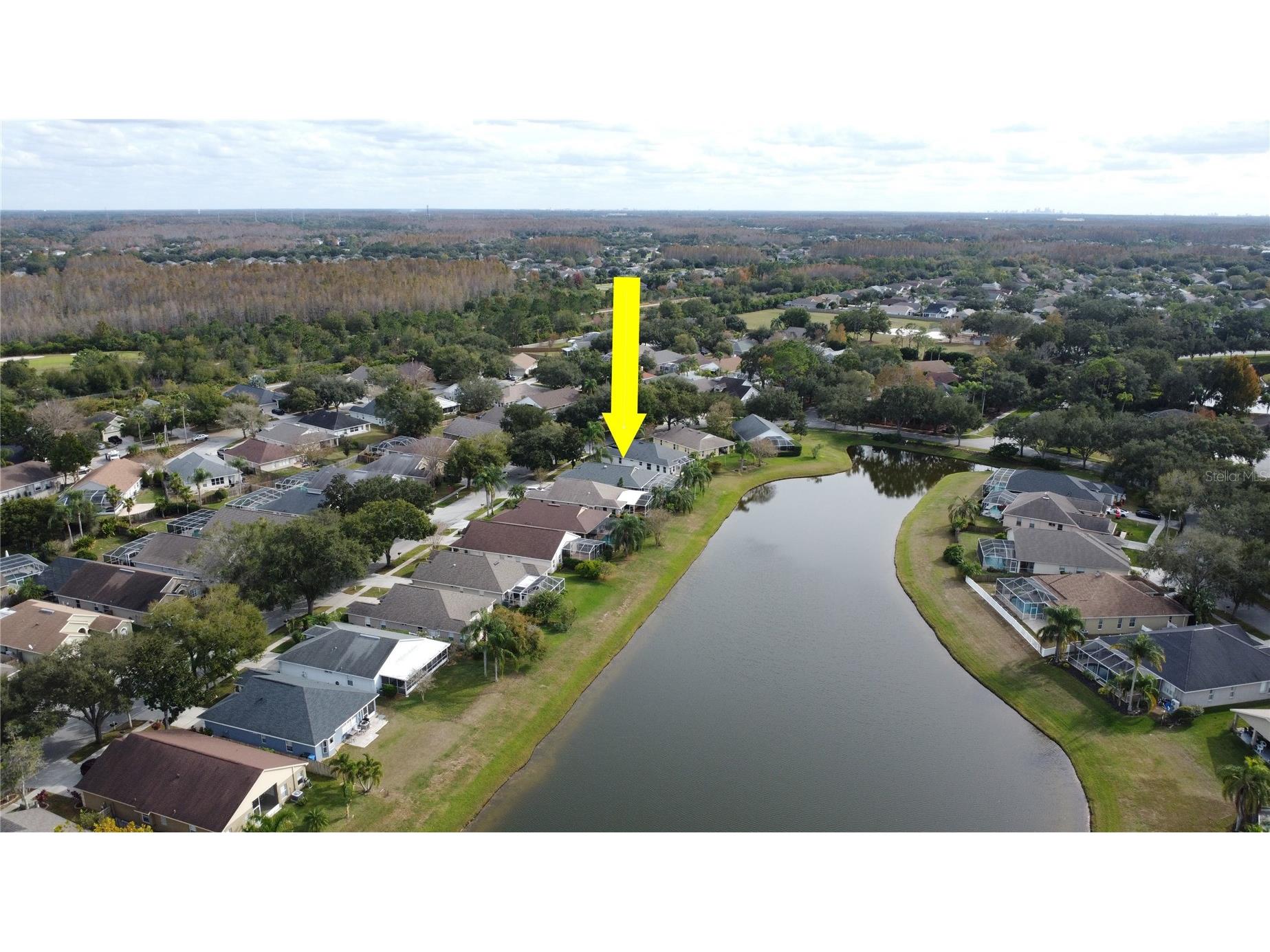 19519 Morden Blush Drive Lutz FL 33558 TB8453744 image63