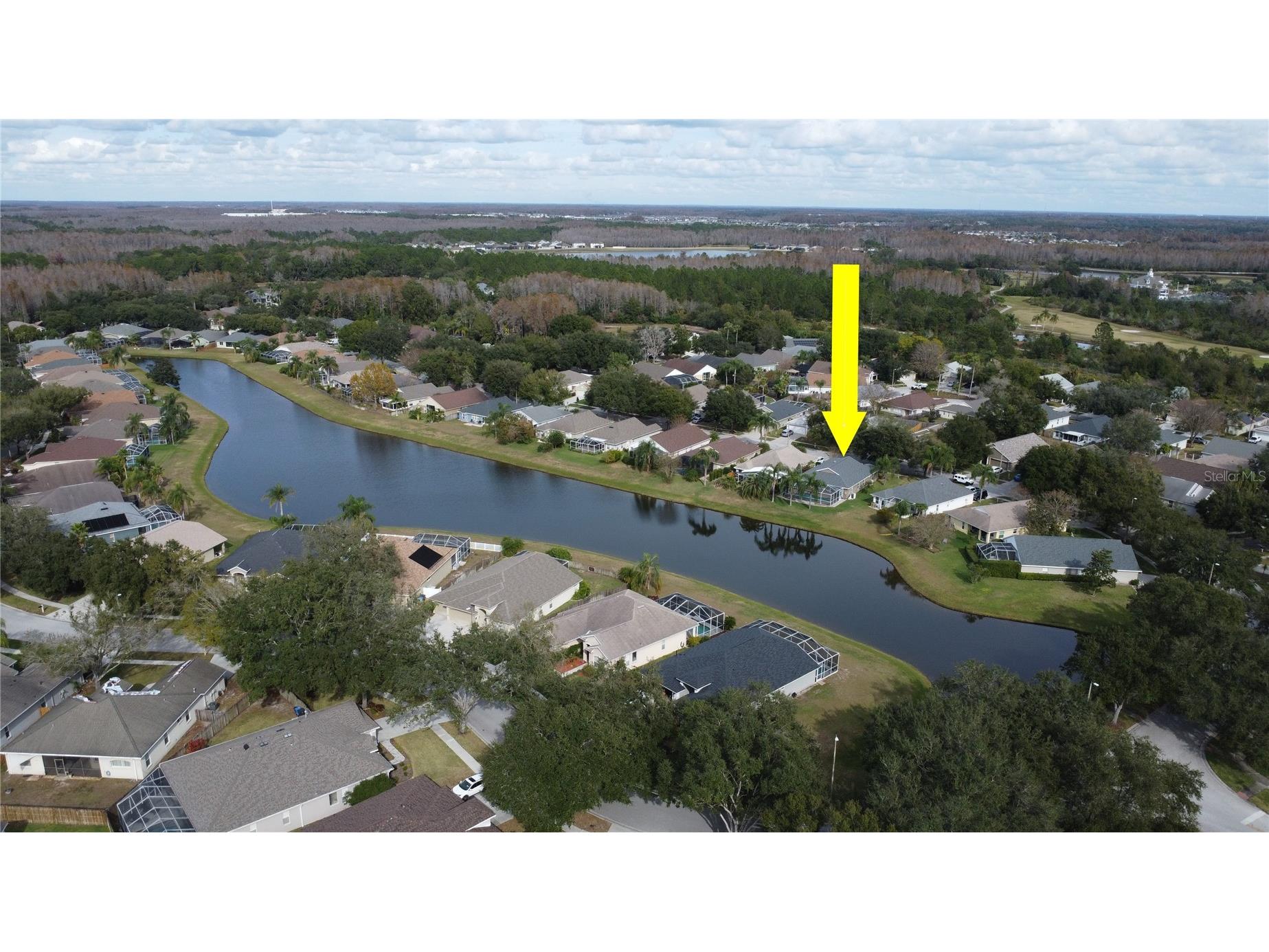 19519 Morden Blush Drive Lutz FL 33558 TB8453744 image64