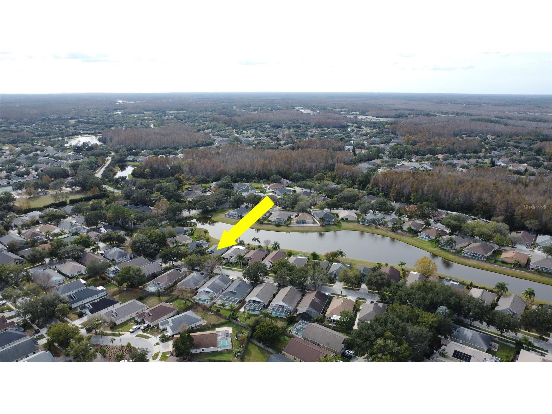 19519 Morden Blush Drive Lutz FL 33558 TB8453744 image65