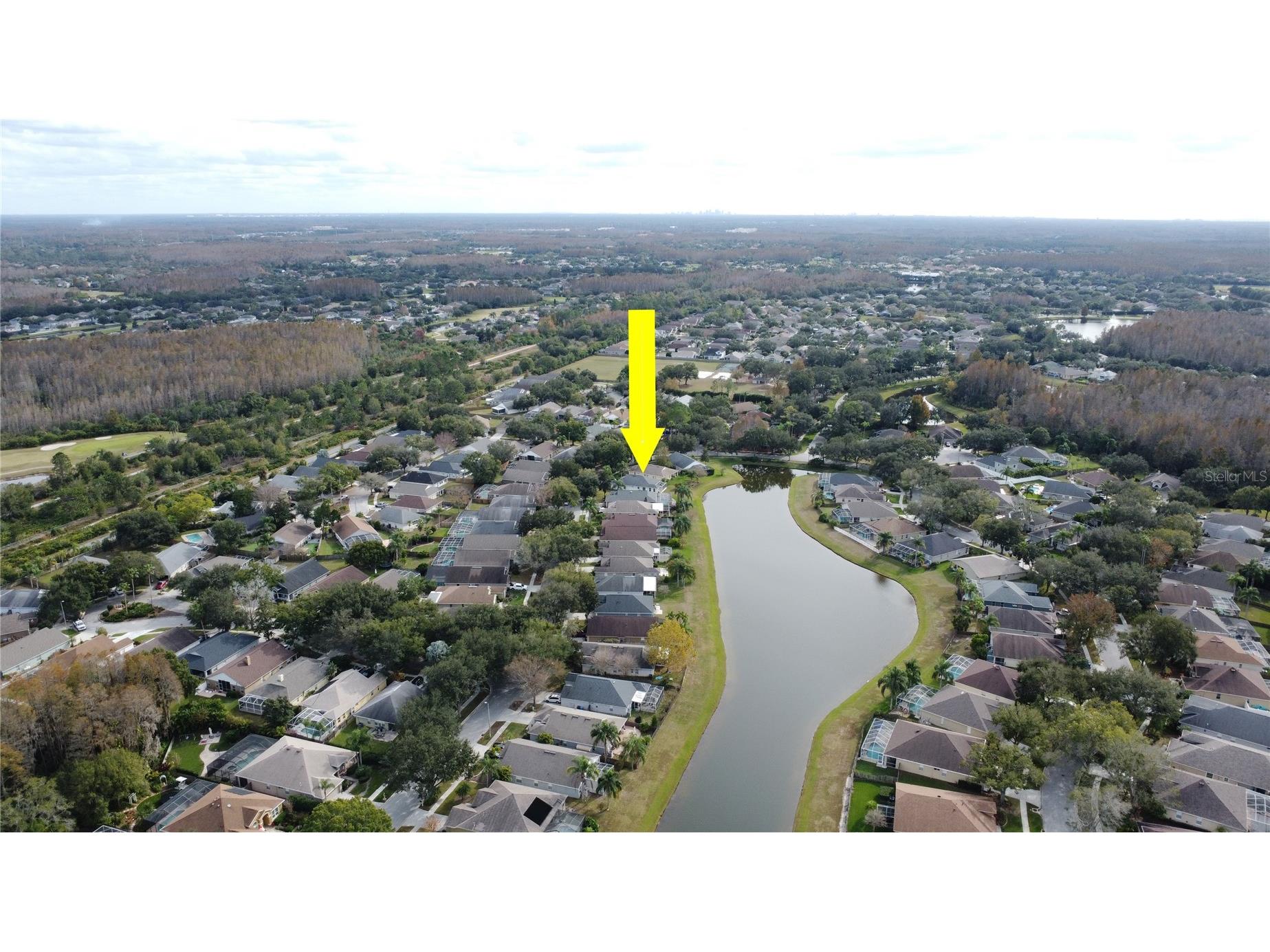 19519 Morden Blush Drive Lutz FL 33558 TB8453744 image66