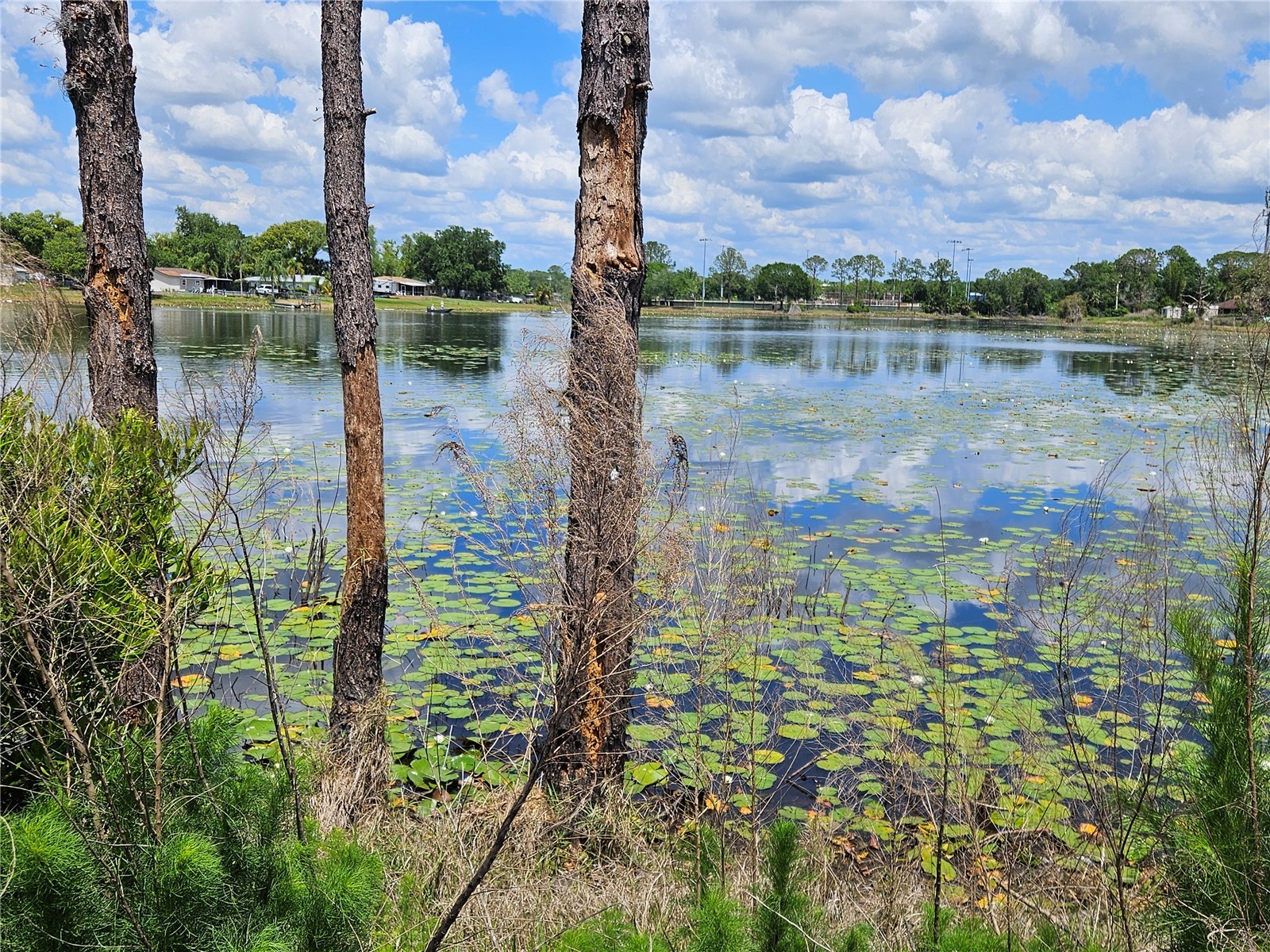 1952 English Drive Deltona FL 32738 - ANGELA LAKE O6401394 image12