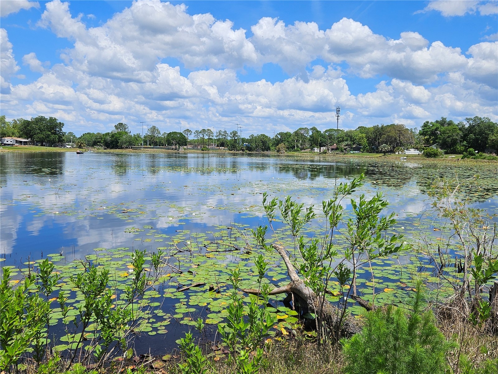 1952 English Drive Deltona FL 32738 - ANGELA LAKE O6401394 image13