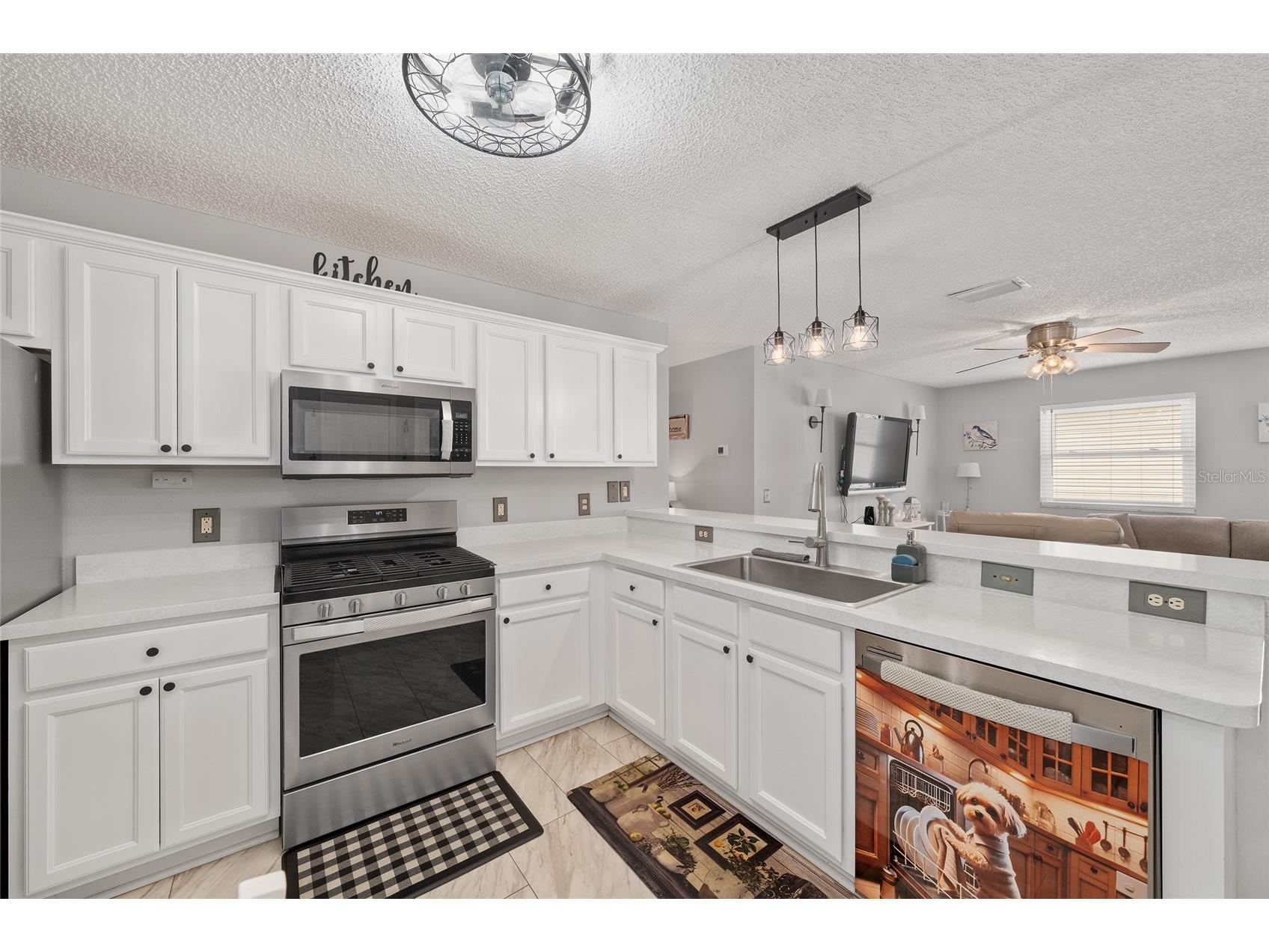 1952 Montrose Court The Villages FL 32162 G5106135 image13