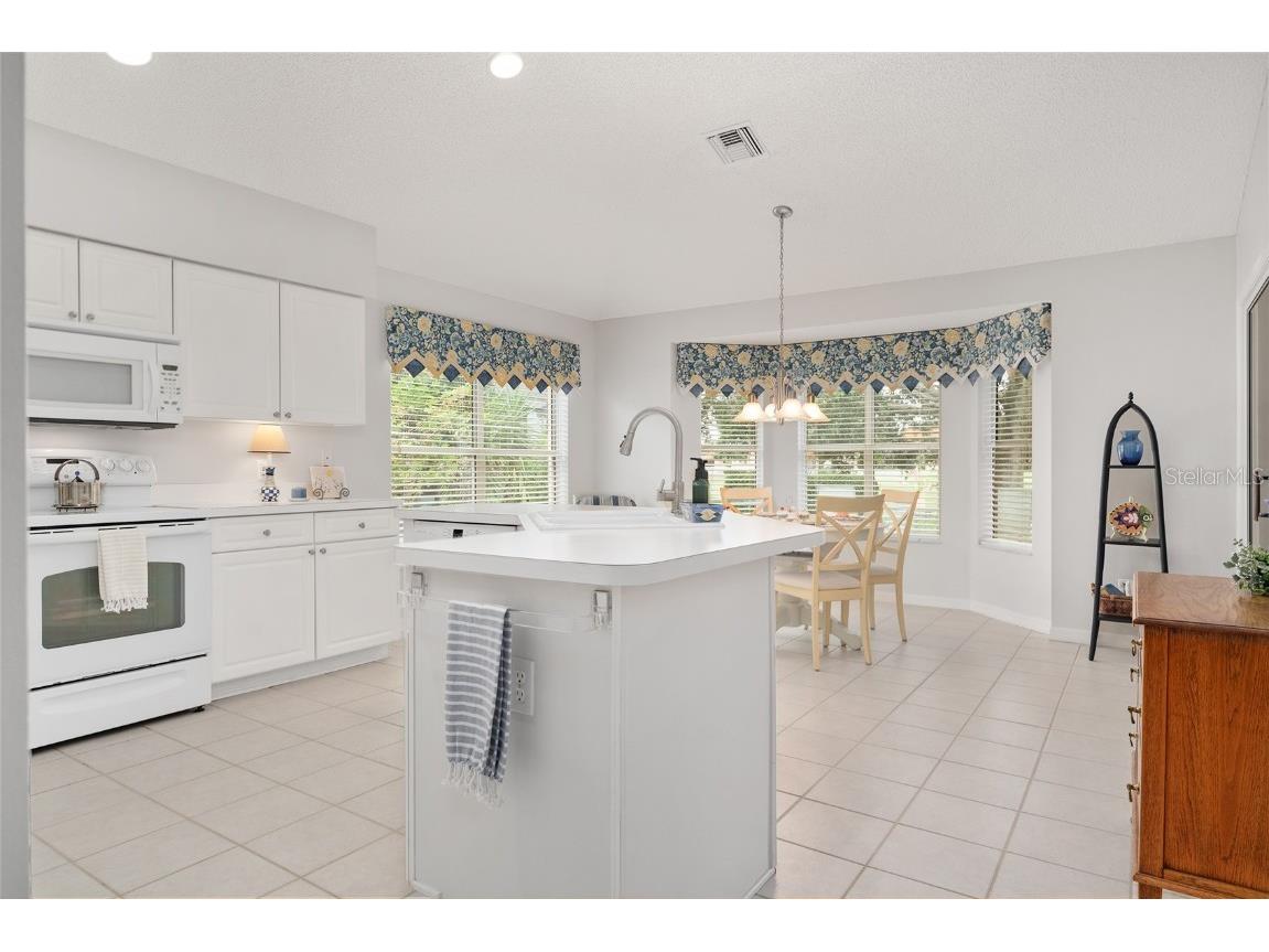 1952 Palo Alto Avenue The Villages FL 32159 G5101545 image10