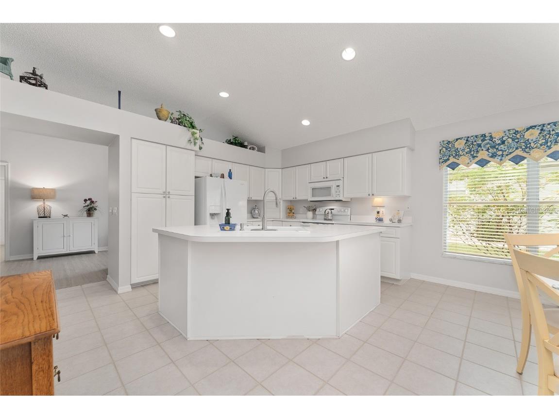 1952 Palo Alto Avenue The Villages FL 32159 G5101545 image14