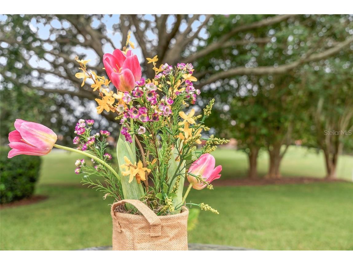 1952 Palo Alto Avenue The Villages FL 32159 G5101545 image39