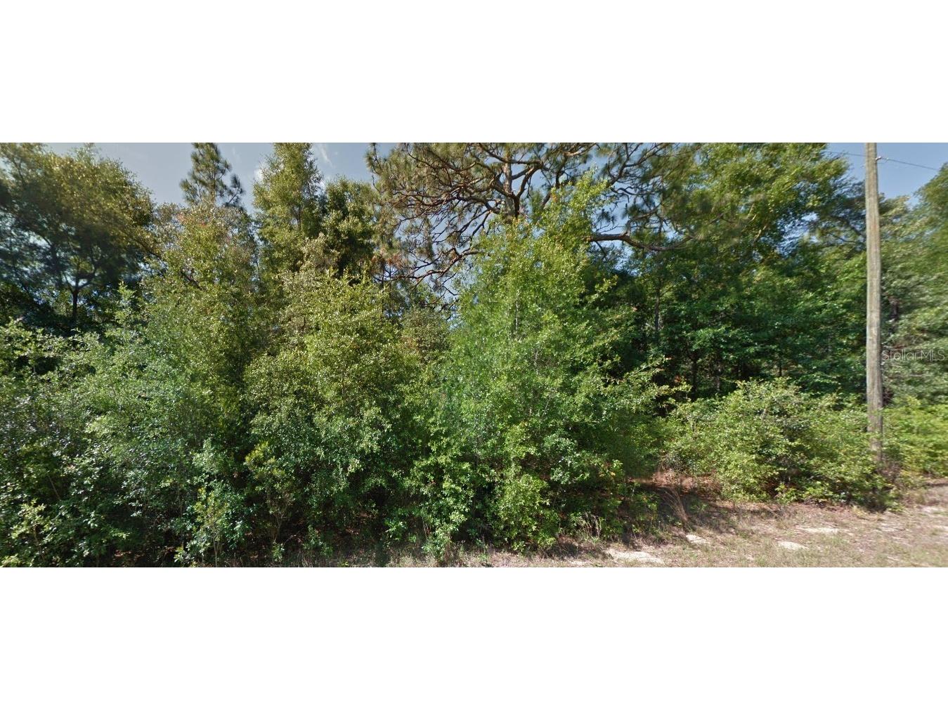 1952 W Beach Plum Drive Citrus Springs FL 34434 W7877507 image1