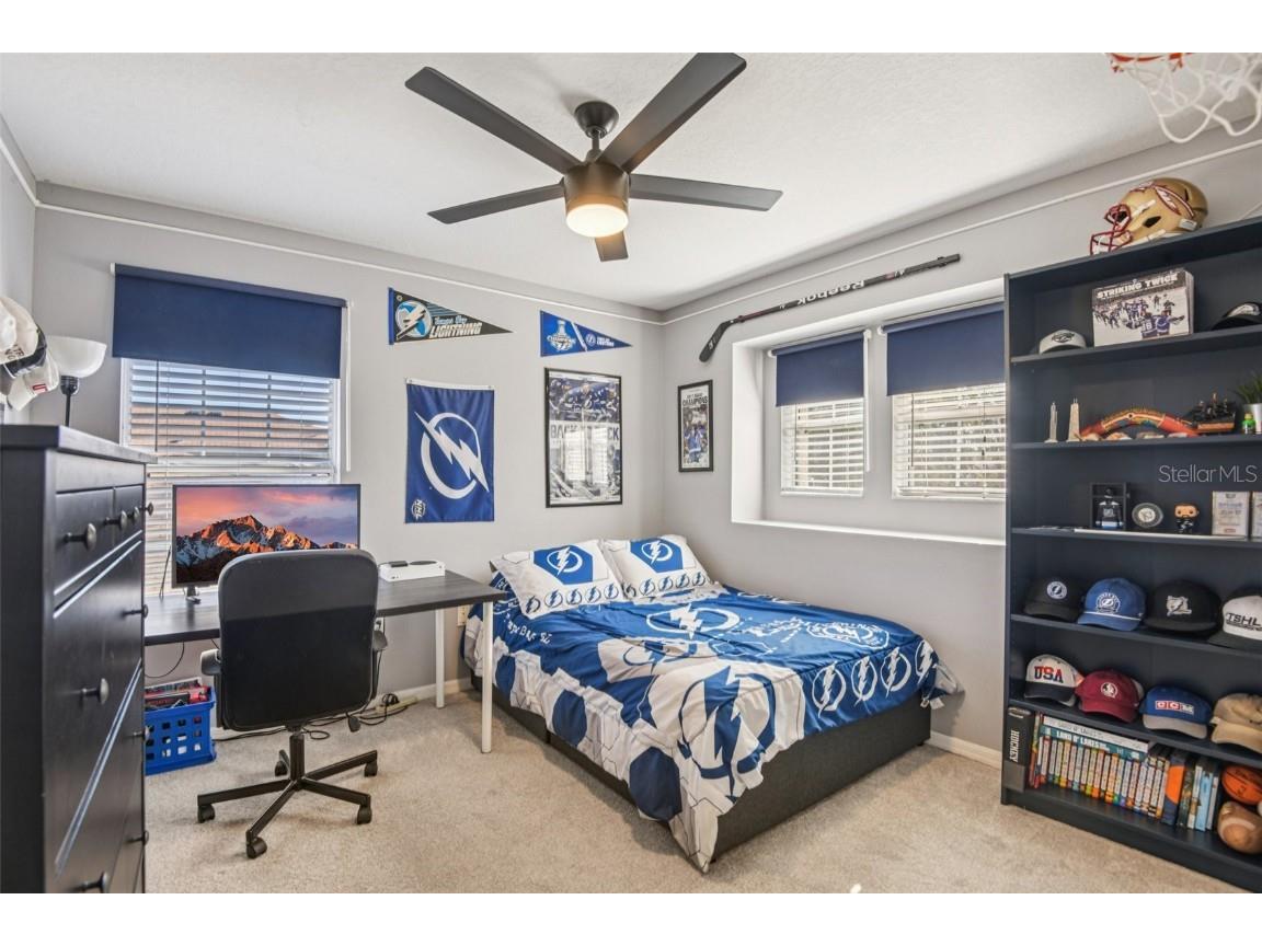 19522 Timberbluff Drive Land O Lakes FL 34638 TB8447470 image26