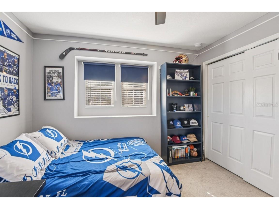 19522 Timberbluff Drive Land O Lakes FL 34638 TB8447470 image27