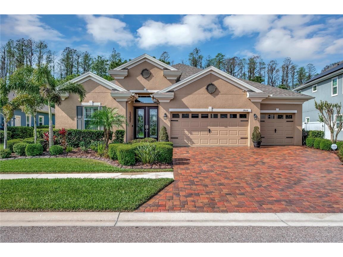 19526 Hayden Lake Court Land O Lakes FL 34638 T3435489 image1