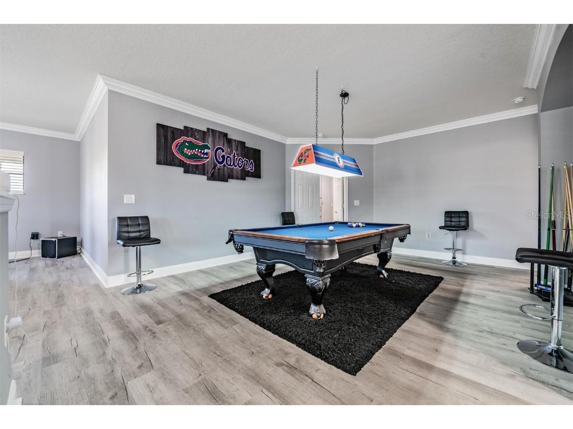 19529 Hayden Lake Court Land O Lakes FL 34638 TB8457245 image27