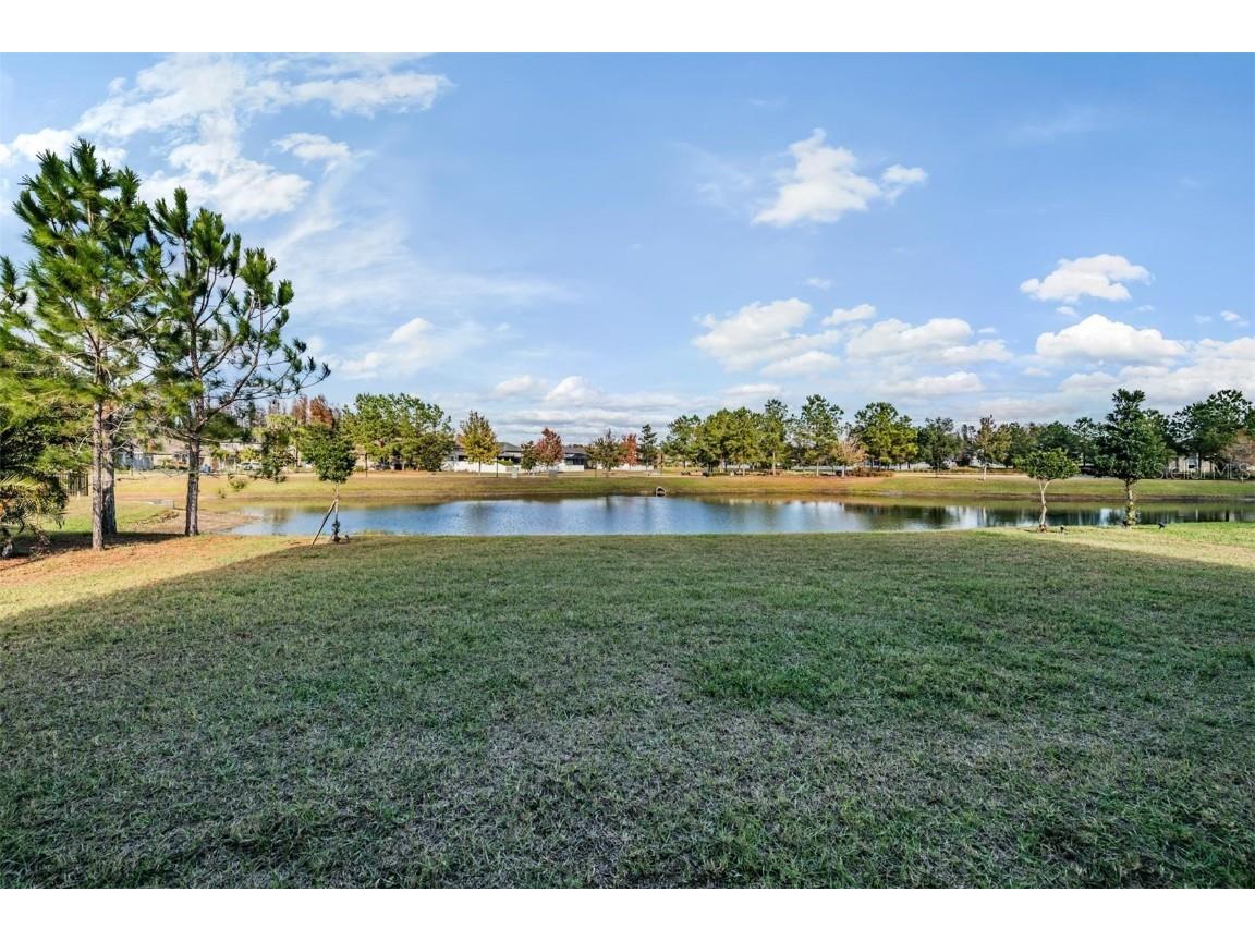 19529 Hayden Lake Court Land O Lakes FL 34638 TB8457245 image39