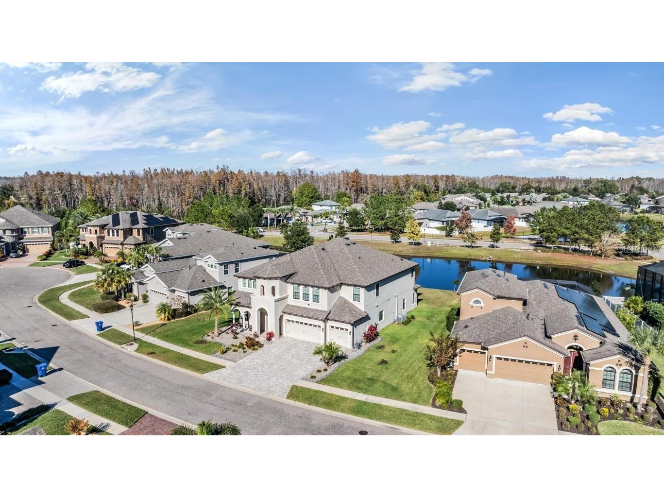 19529 Hayden Lake Court Land O Lakes FL 34638 TB8457245 image45