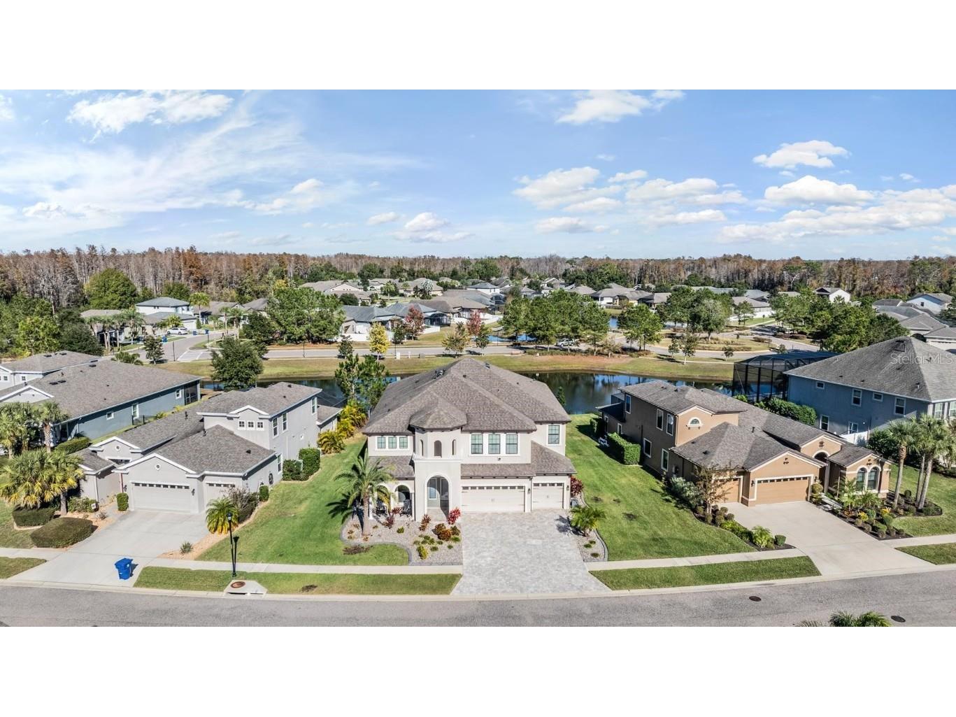 19529 Hayden Lake Court Land O Lakes FL 34638 TB8457245 image46