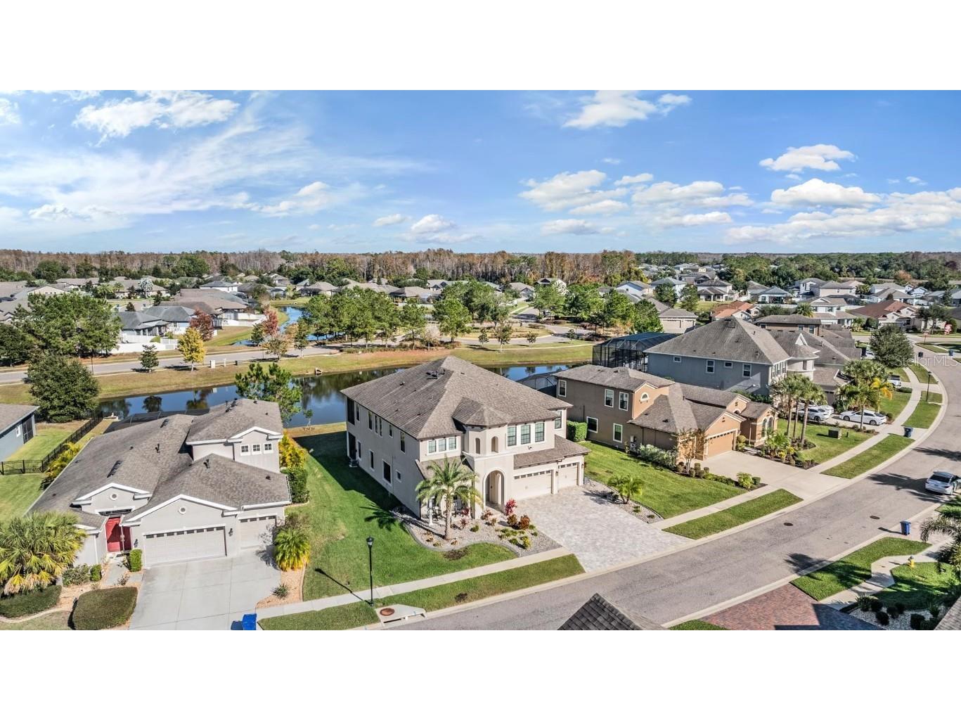 19529 Hayden Lake Court Land O Lakes FL 34638 TB8457245 image47