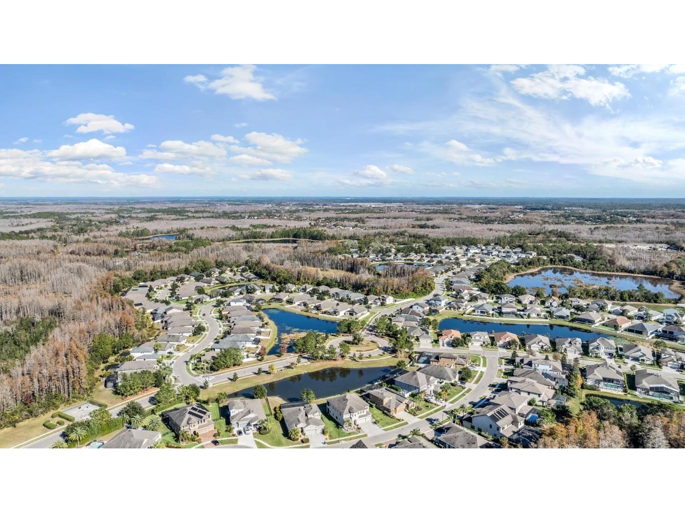 19529 Hayden Lake Court Land O Lakes FL 34638 TB8457245 image48