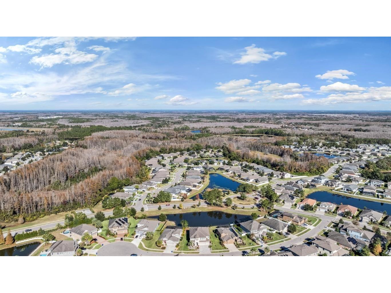 19529 Hayden Lake Court Land O Lakes FL 34638 TB8457245 image49