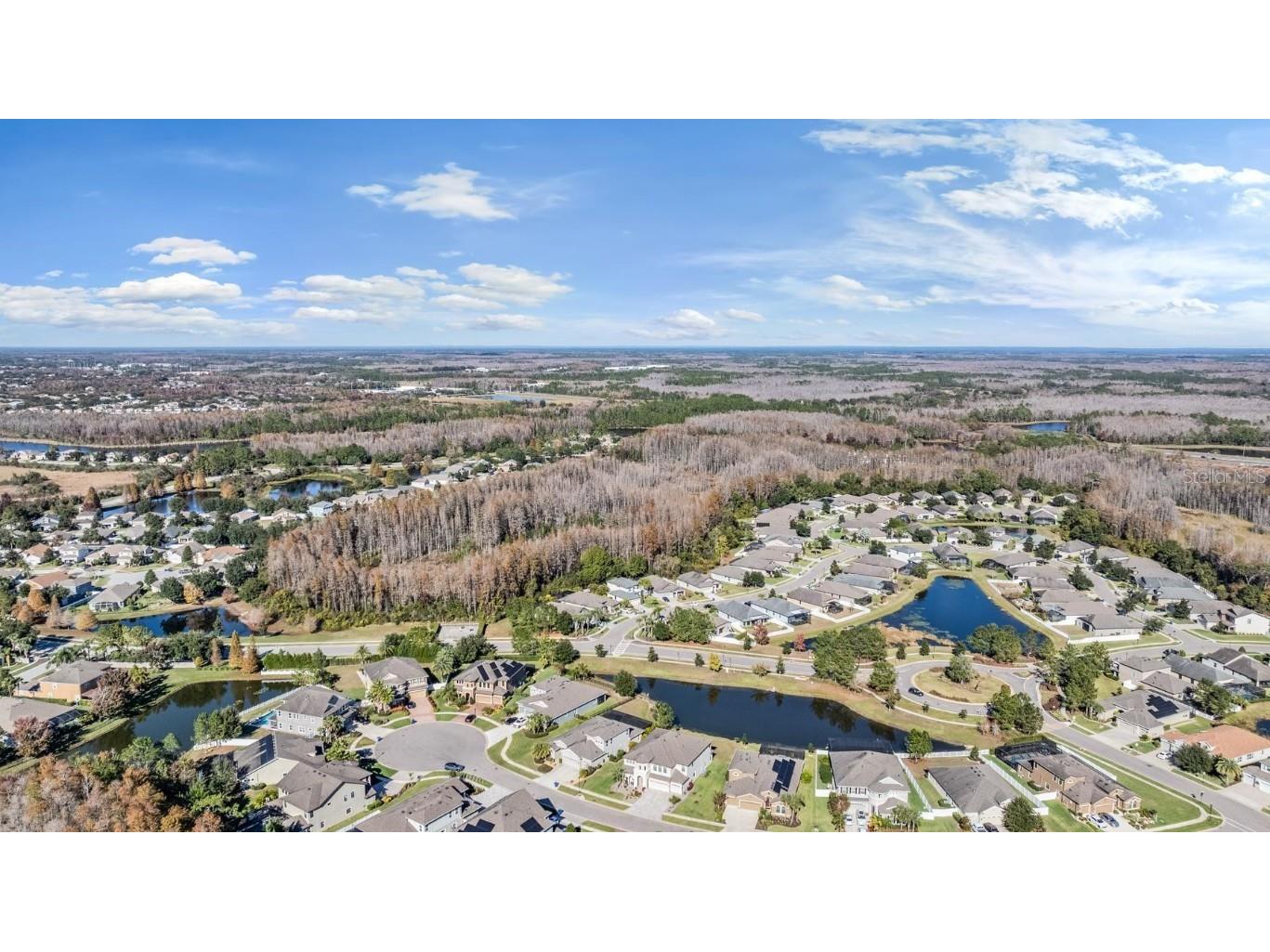 19529 Hayden Lake Court Land O Lakes FL 34638 TB8457245 image50