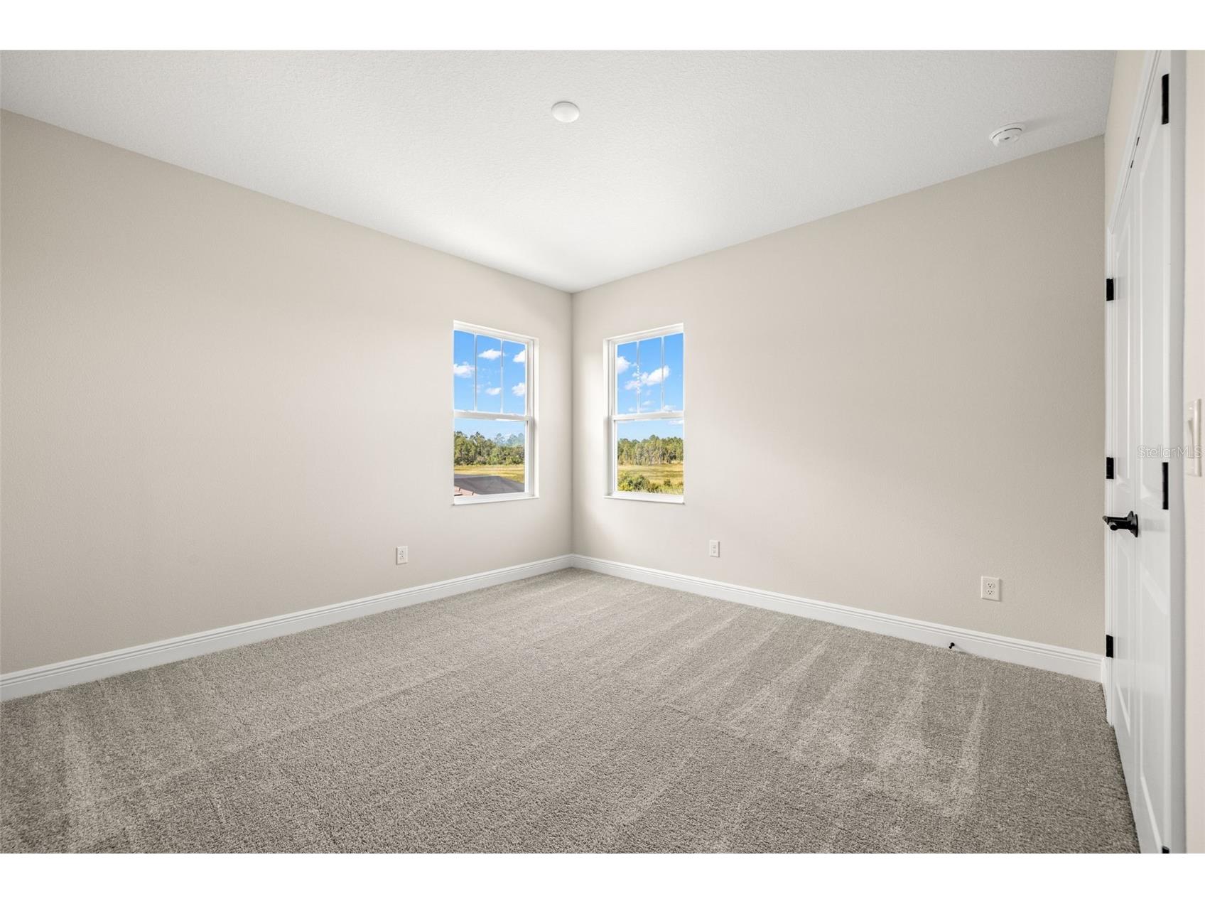 1953 Arching Branch Zephyrhills FL 33541 TB8434061 image22