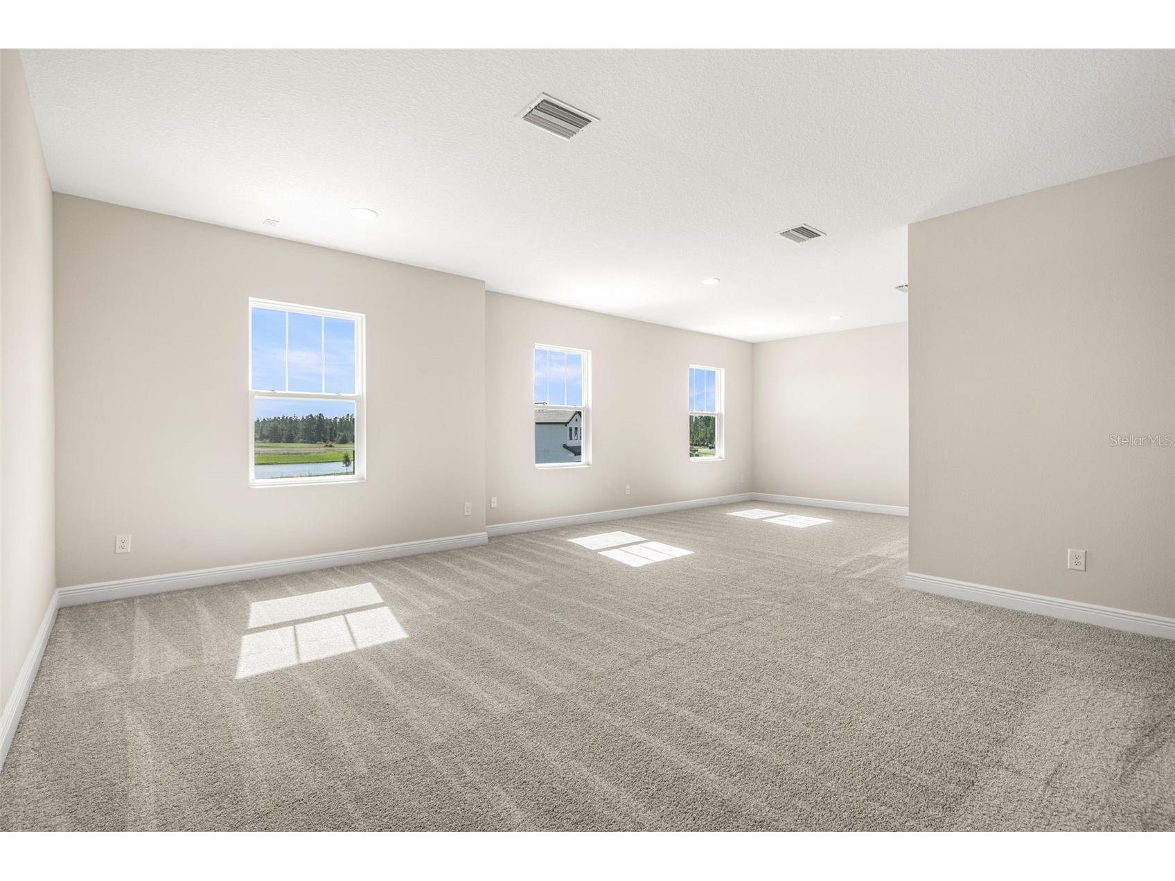 1953 Arching Branch Zephyrhills FL 33541 TB8434061 image25