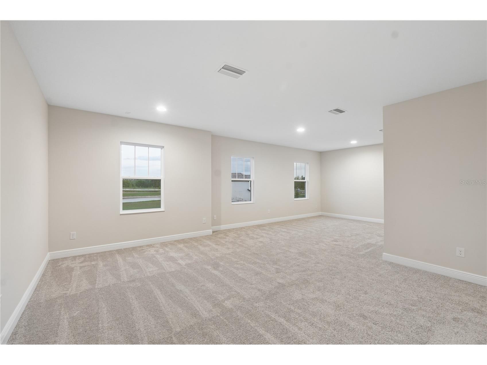 1953 Arching Branch Zephyrhills FL 33541 TB8494350 image47
