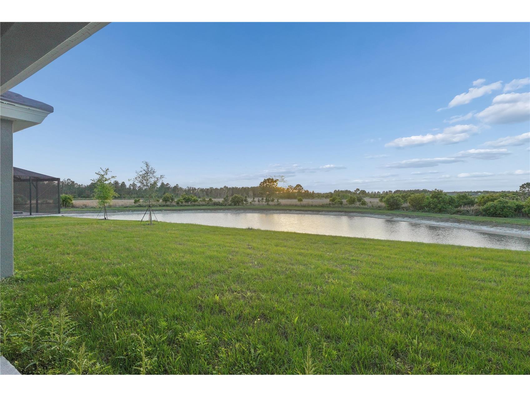 1953 Arching Branch Zephyrhills FL 33541 TB8494350 image60