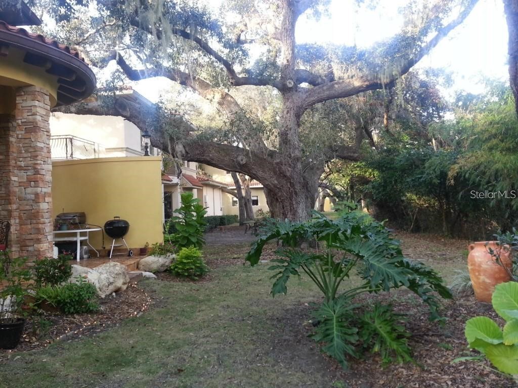 1953 Freedom Drive Clearwater FL 33755 TB8446535 image43