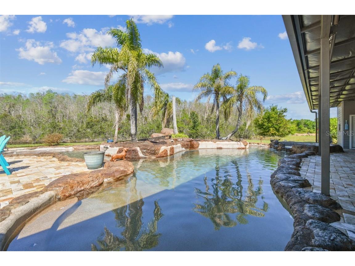 19530 Barrie Acres Trail Odessa FL 33556 TB8363765 image3