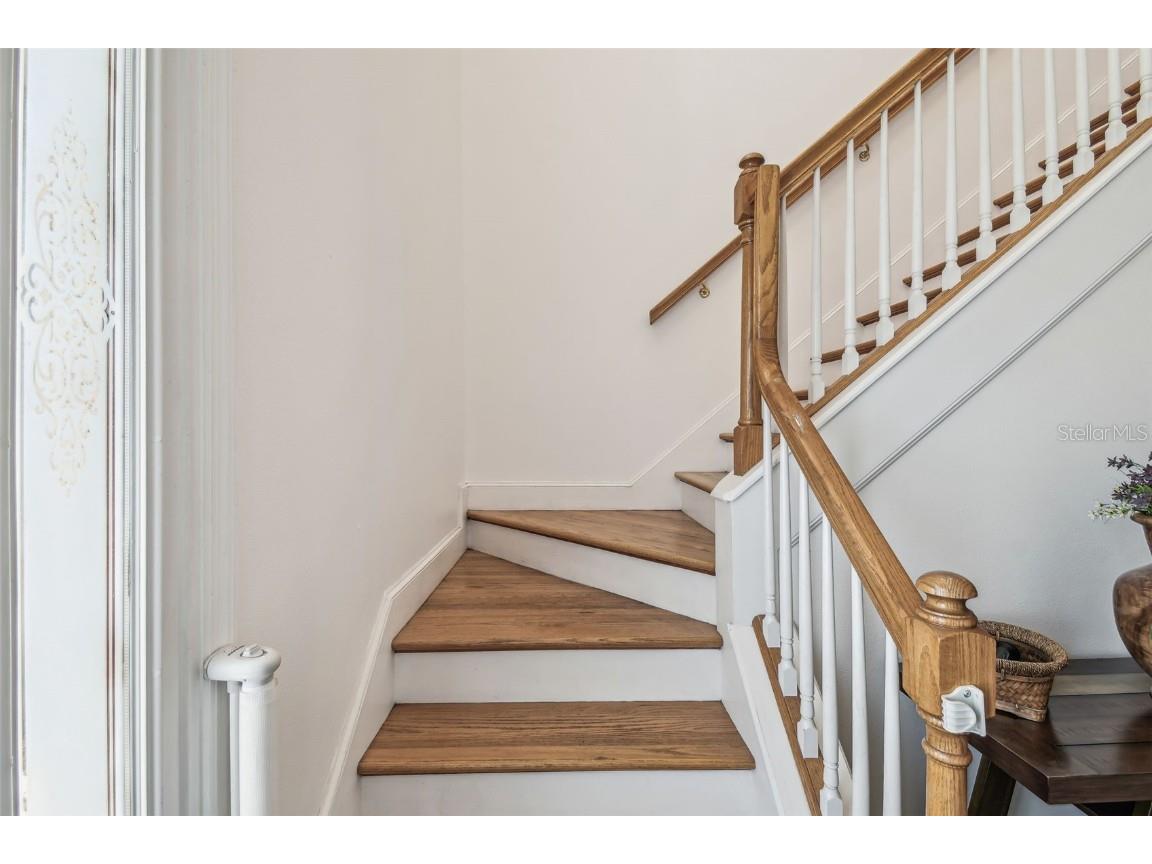 19530 Barrie Acres Trail Odessa FL 33556 TB8363765 image41