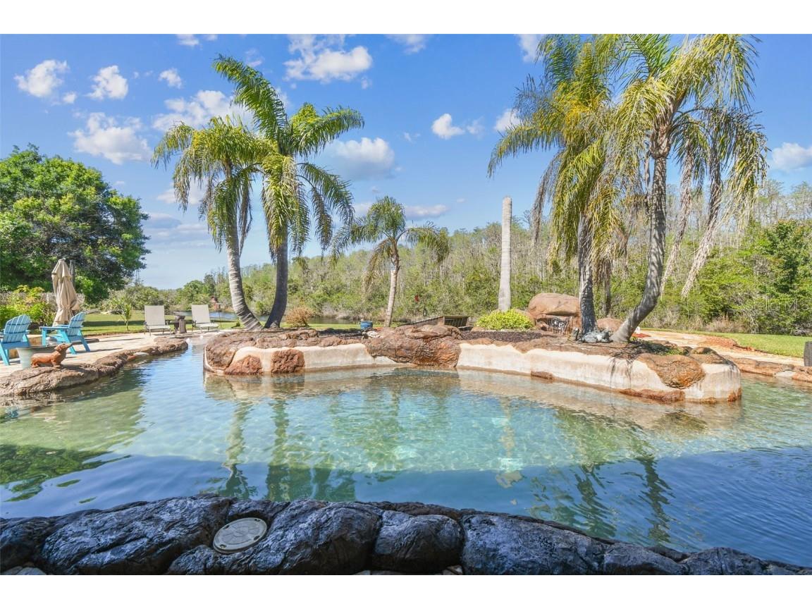 19530 Barrie Acres Trail Odessa FL 33556 TB8363765 image67