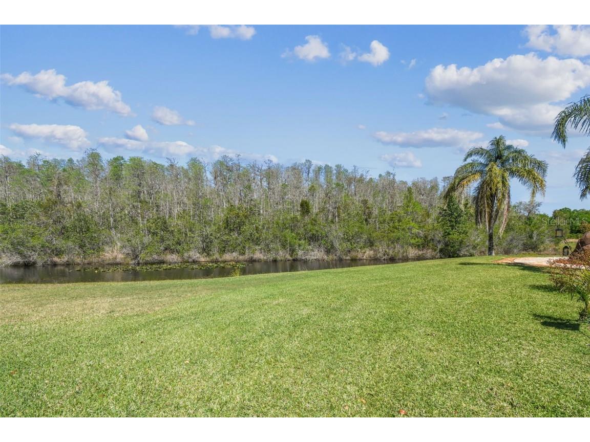 19530 Barrie Acres Trail Odessa FL 33556 TB8363765 image83