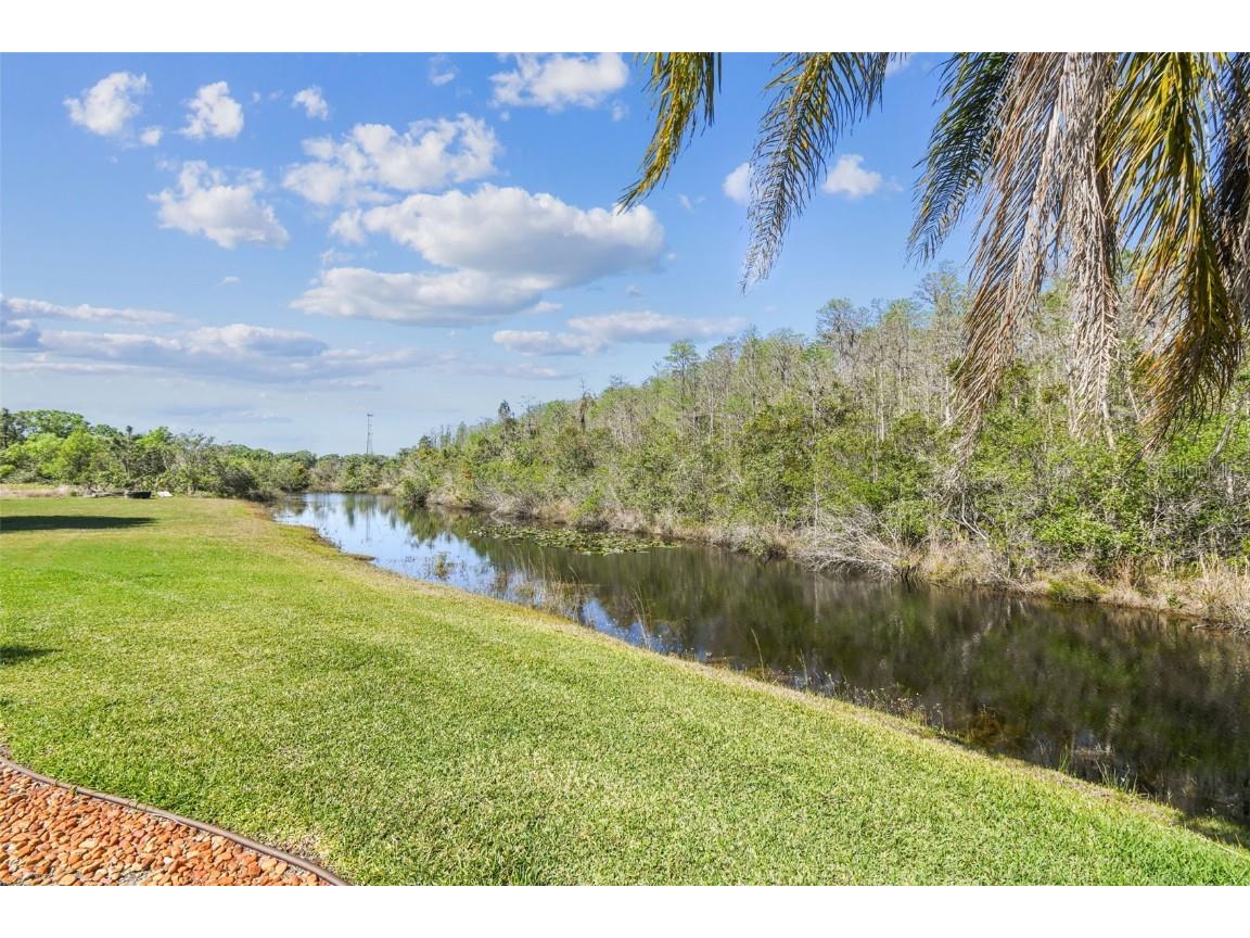 19530 Barrie Acres Trail Odessa FL 33556 TB8363765 image84
