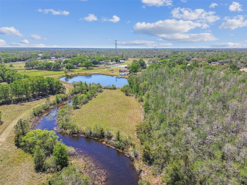 19530 Barrie Acres Trail Odessa FL 33556 TB8363765 image87