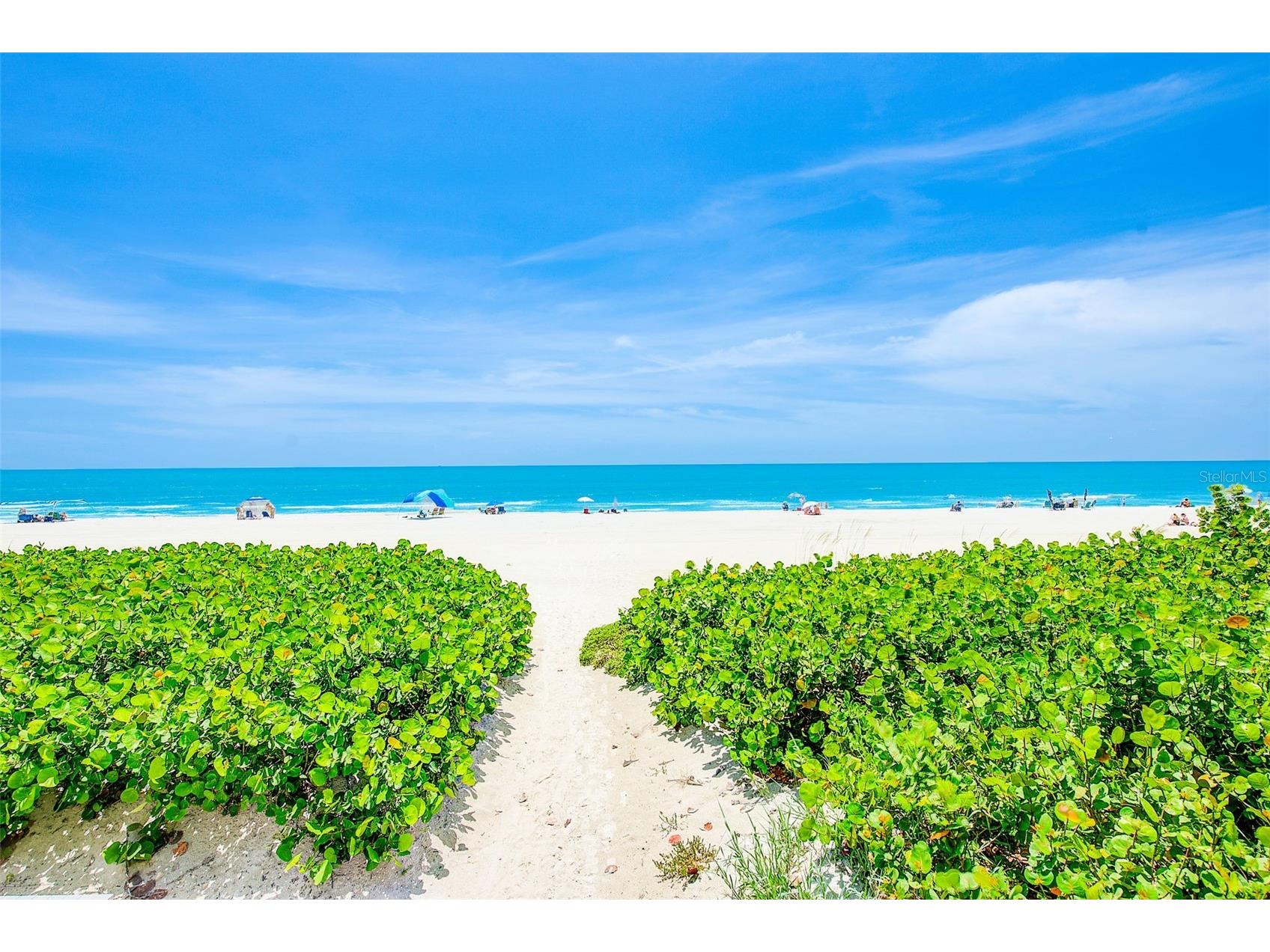 19530 Gulf Boulevard #1B Indian Shores FL 33785 - GULF TB8513006 image3