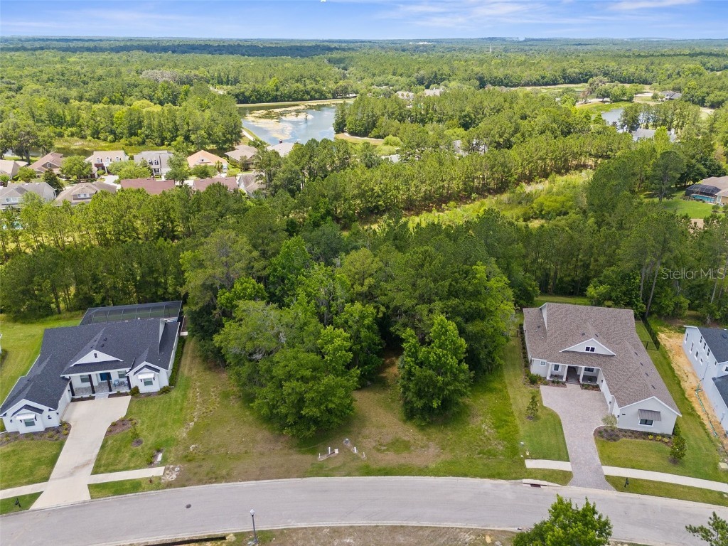 19533 Sheltered Hill Drive Brooksville FL 34601 W7865064 image1