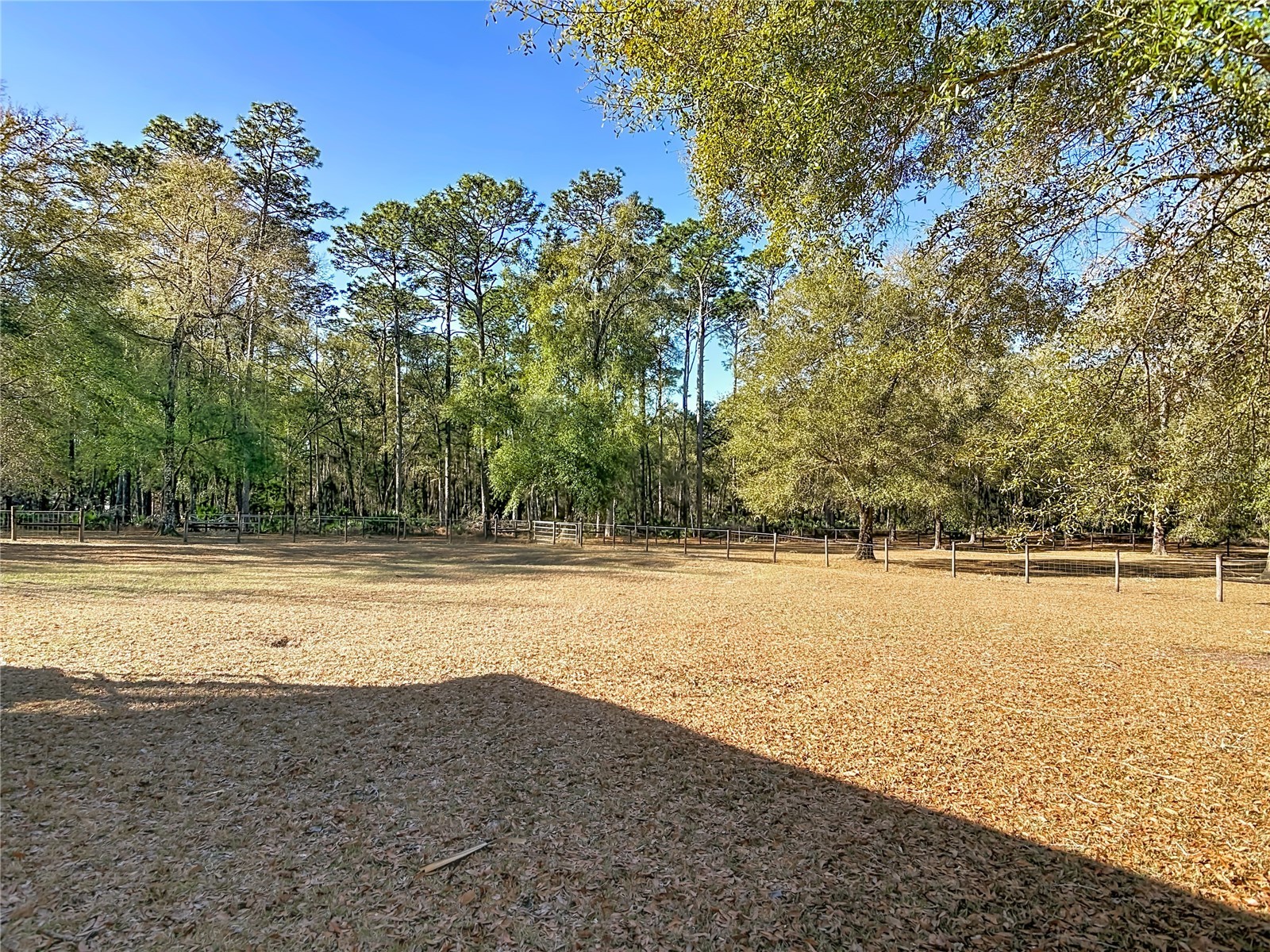 19534 Fox Den Lane Altoona FL 32702 G5109070 image50
