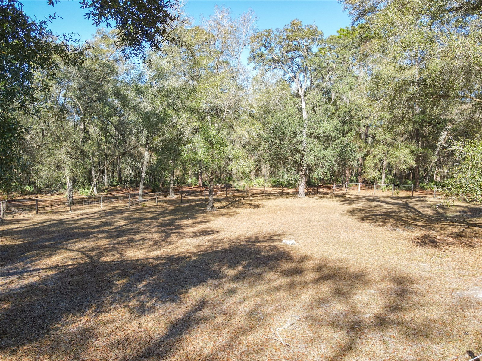 19534 Fox Den Lane Altoona FL 32702 G5109070 image62