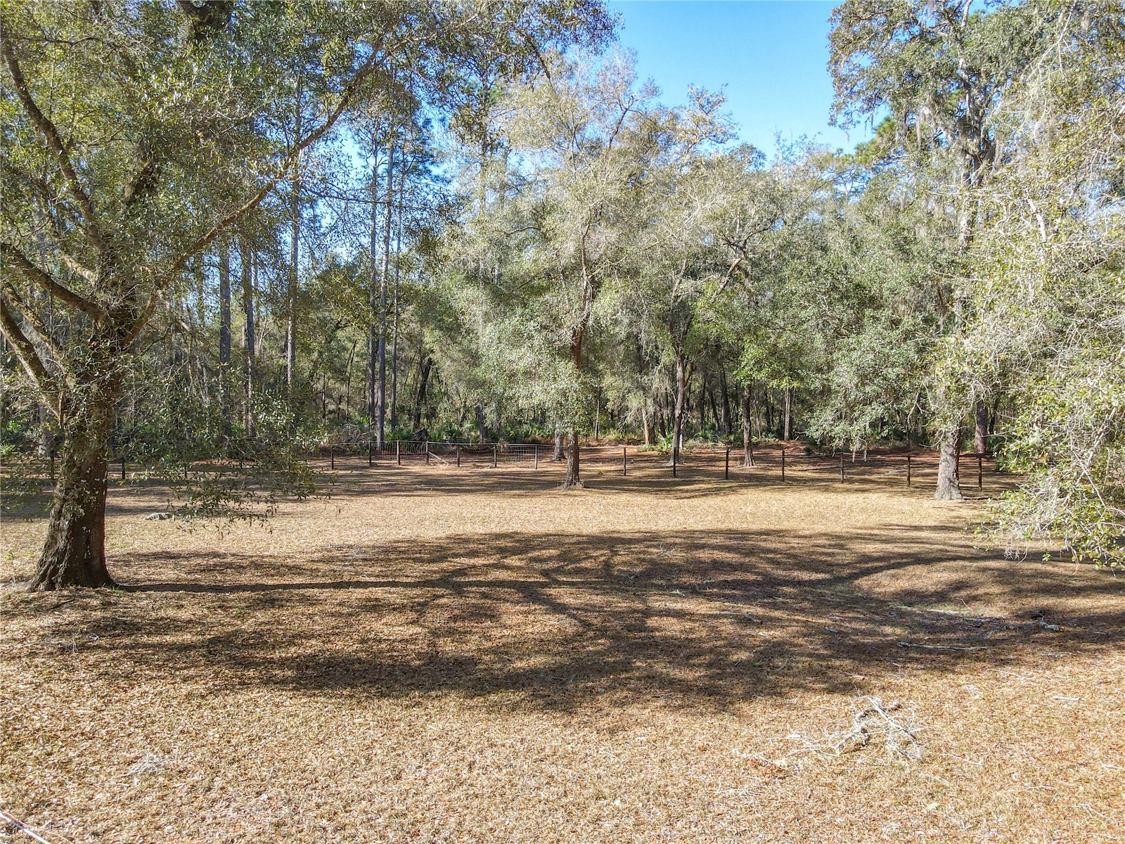 19534 Fox Den Lane Altoona FL 32702 G5109070 image63