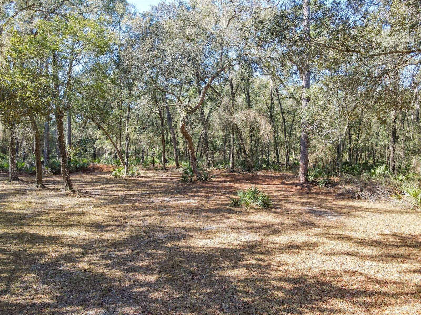 19534 Fox Den Lane Altoona FL 32702 G5109070 image64