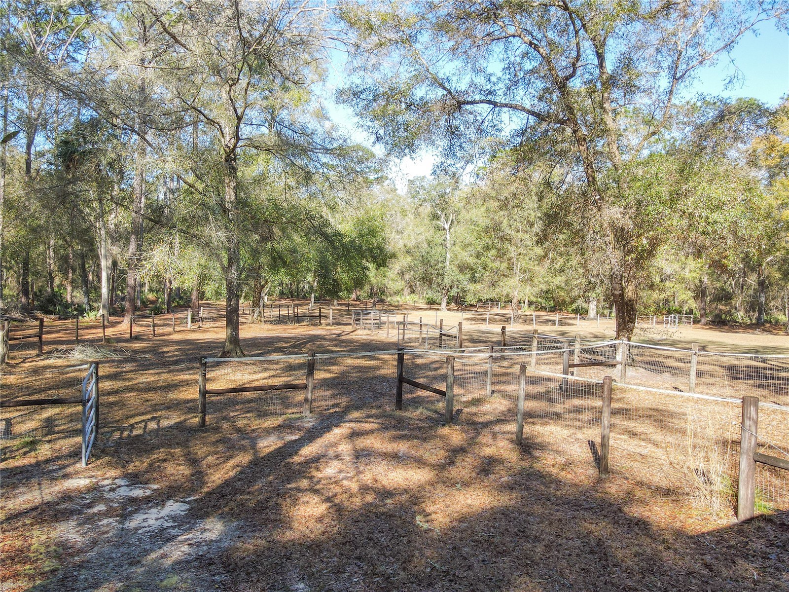 19534 Fox Den Lane Altoona FL 32702 G5109070 image66