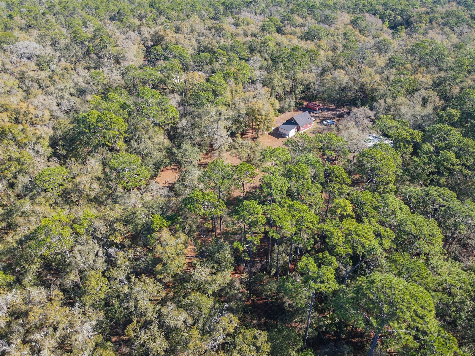 19534 Fox Den Lane Altoona FL 32702 G5109070 image72