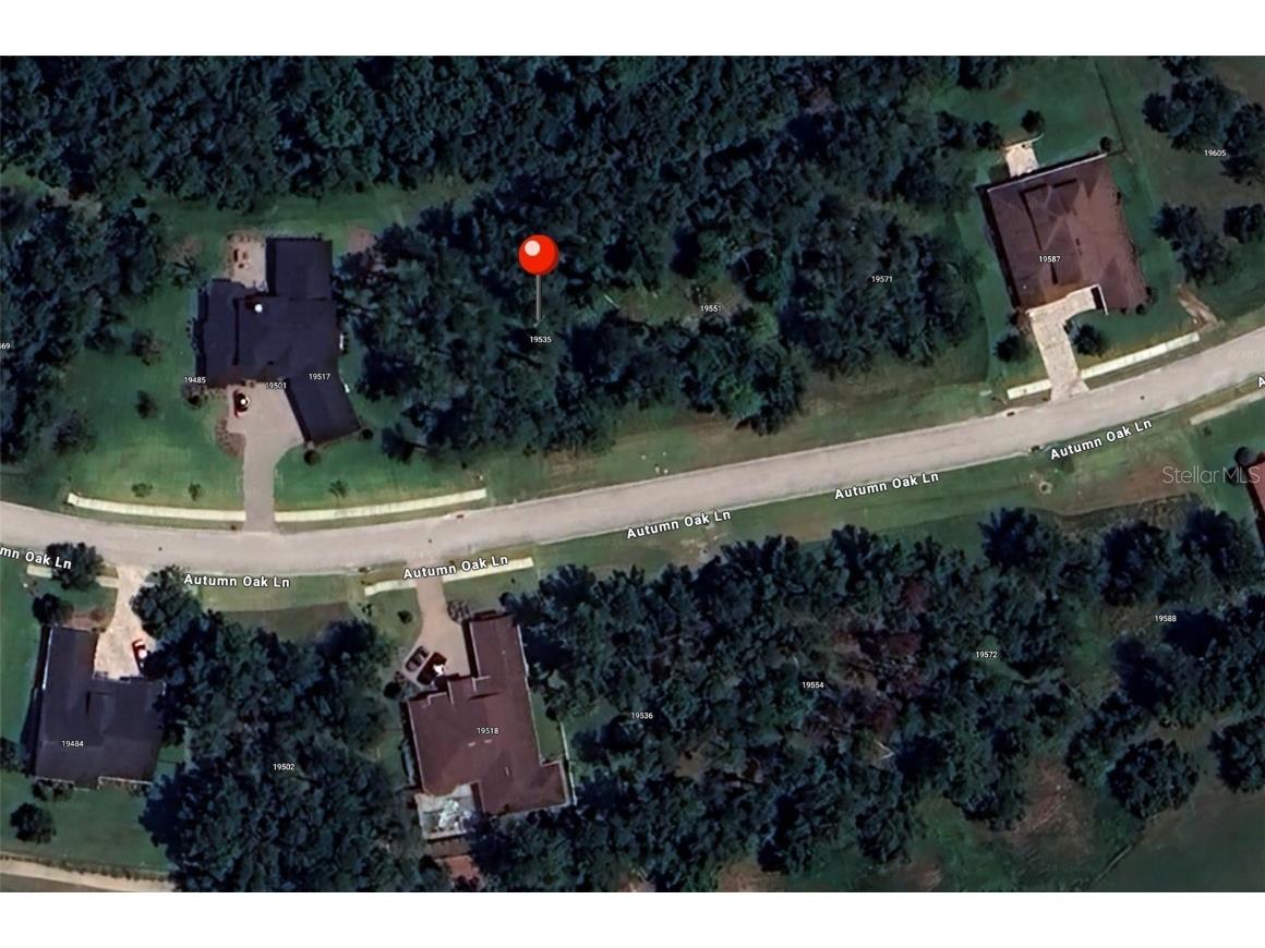 19535 Autumn Oak Lane Brooksville FL 34601 TB8300781 image1