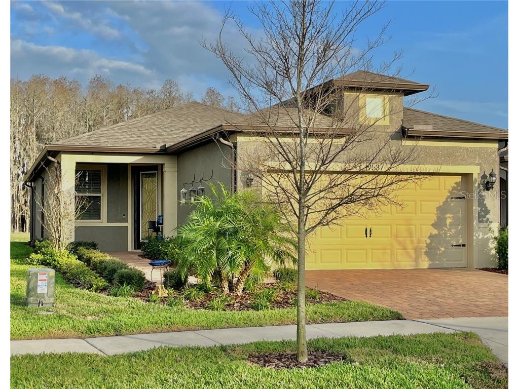 19537 Ship Wheel Way Land O Lakes FL 34638 S5081392 image1