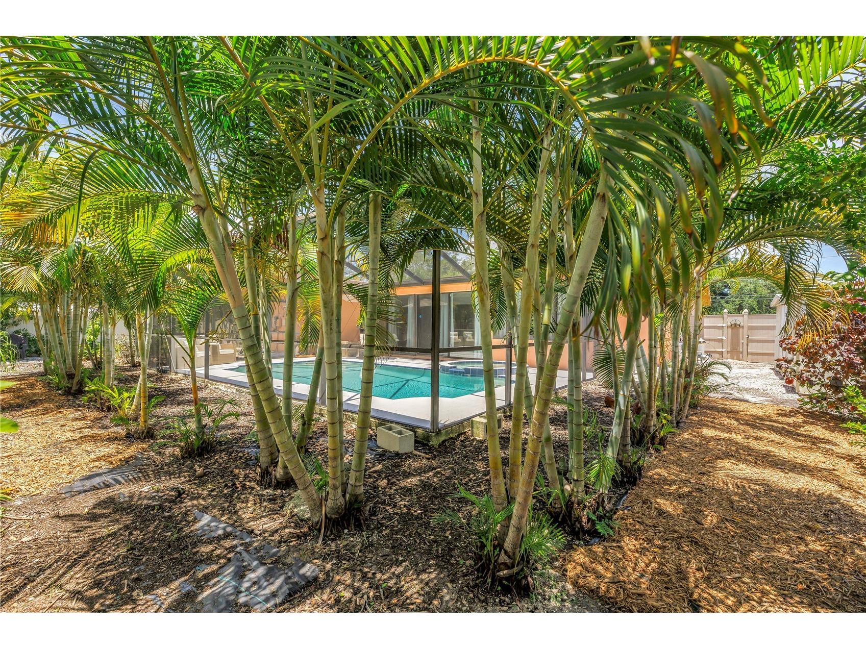 1954 Pinellas Point Drive S Saint Petersburg FL 33712 TB8512816 image38