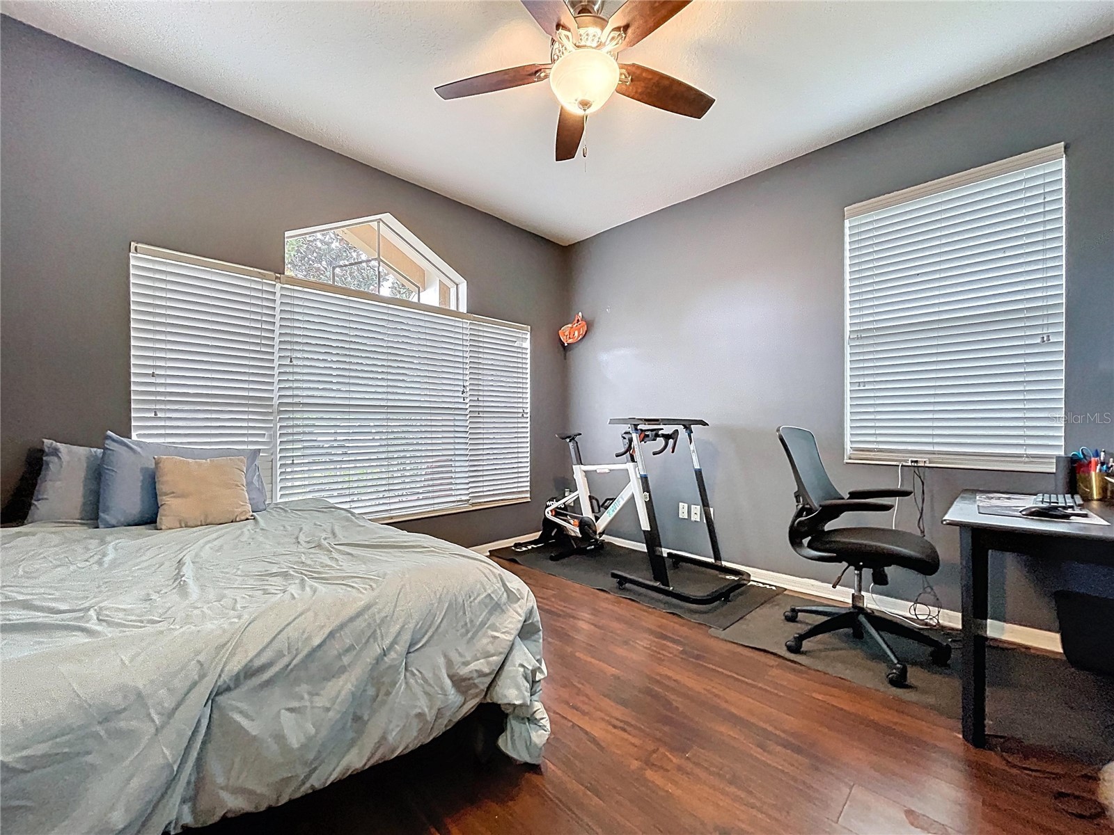 19540 Sunset Bay Drive Land O Lakes FL 34638 TB8498279 image14