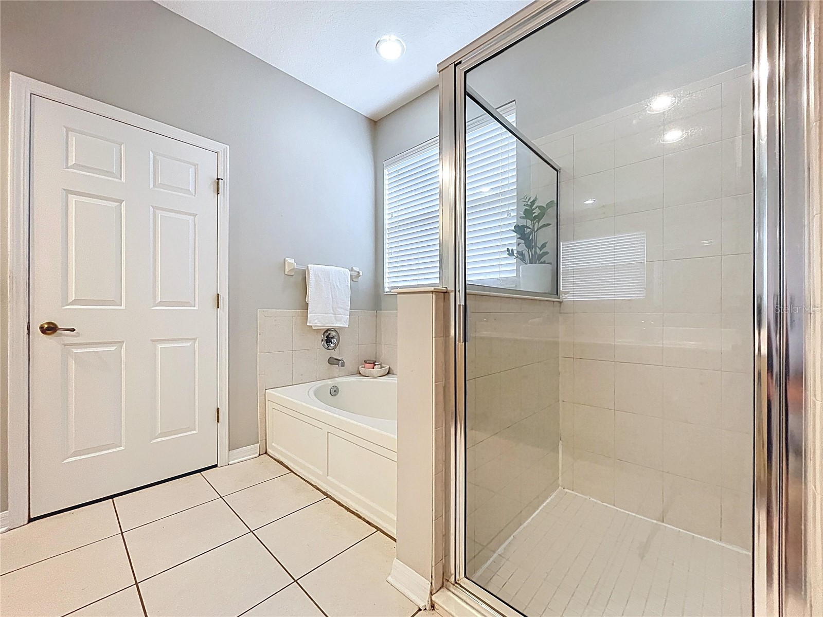 19540 Sunset Bay Drive Land O Lakes FL 34638 TB8498279 image23