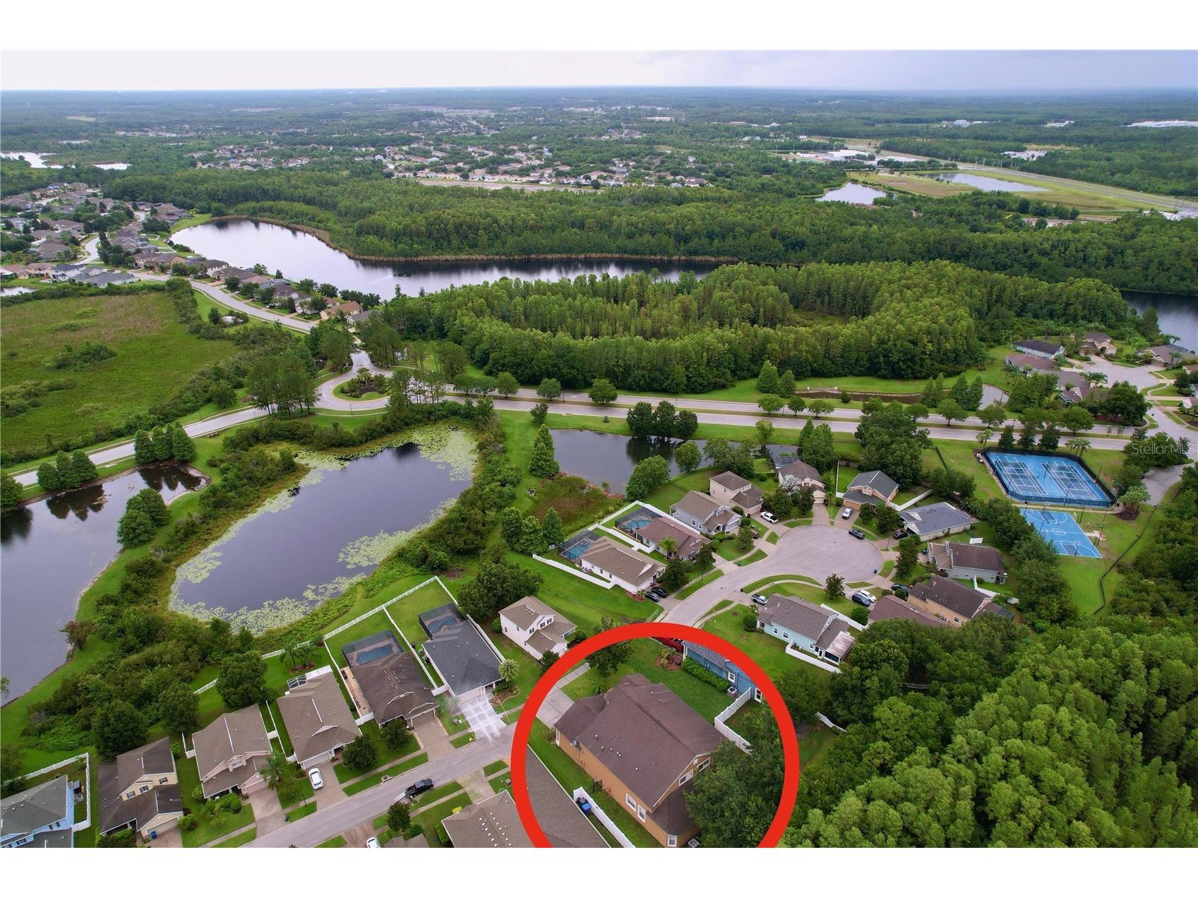 19540 Sunset Bay Drive Land O Lakes FL 34638 TB8498279 image41