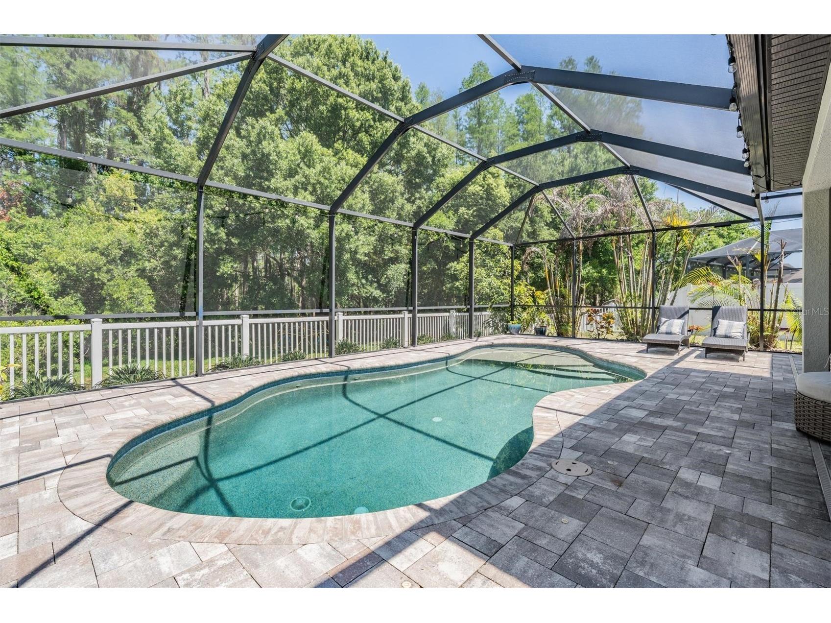 19545 Post Island Loop Land O Lakes FL 34638 TB8496352 image4